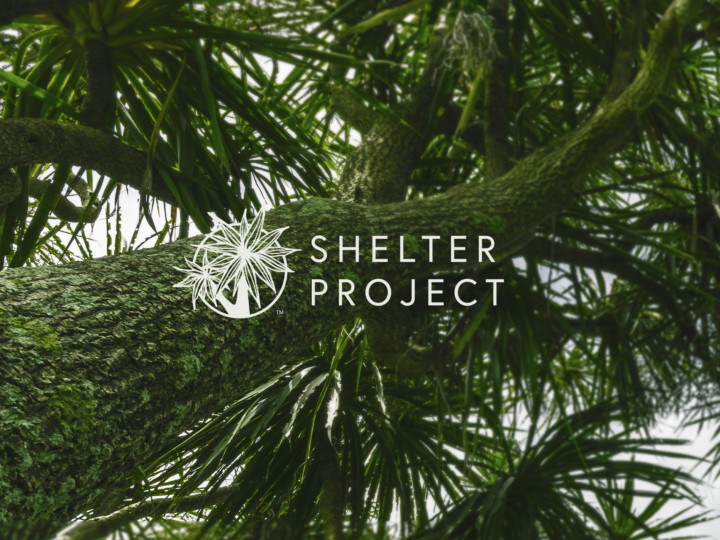 Shelter Project